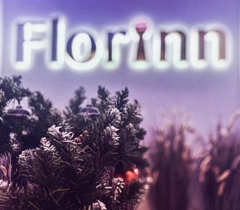 Florinn hotel ООО Лион